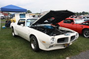 Firebird